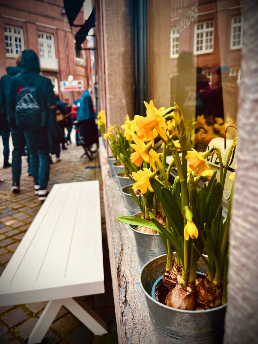 Zdjęcie w galerii na portalu naszwodzislaw.com: Śląskie spotkania na warsztatach historycznych w Königswinter jak zwykle udane wiadomości z regionu