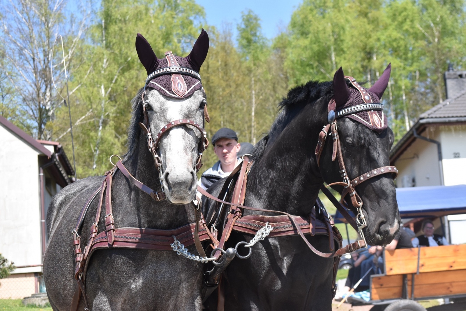 Zdjęcie w galerii na portalu naszwodzislaw.com: Sezon jeździecki w Godowie rozpoczęty [FOTO] wiadomości z regionu