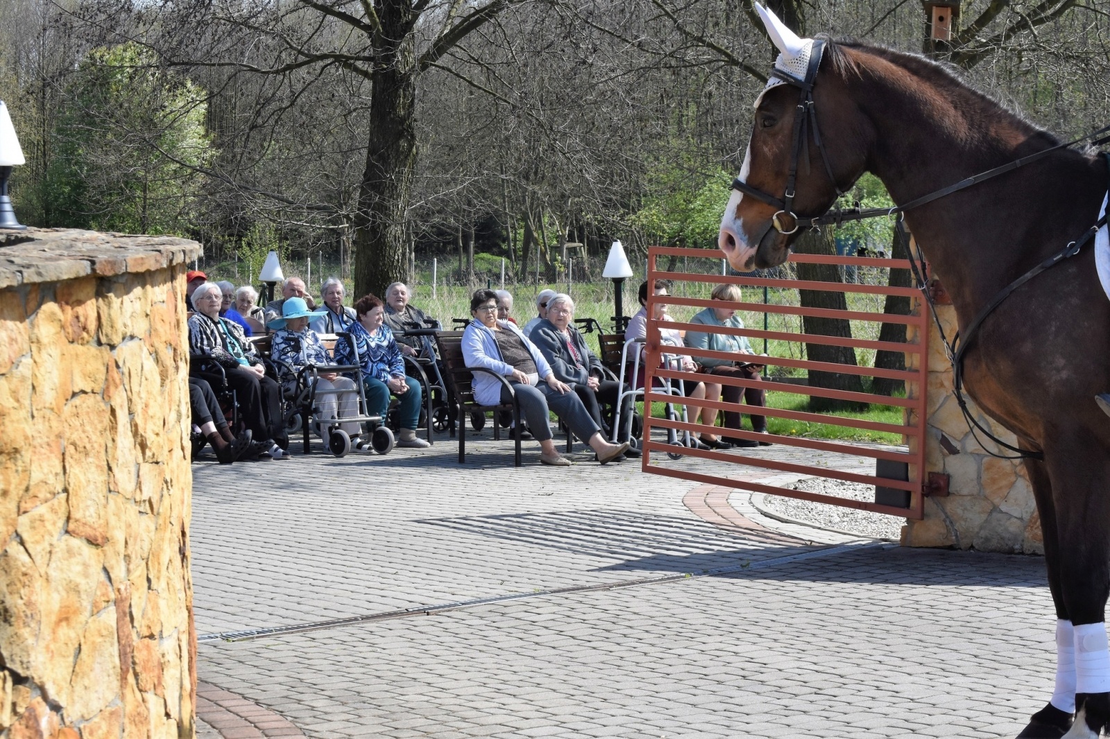 Zdjęcie w galerii na portalu naszwodzislaw.com: Sezon jeździecki w Godowie rozpoczęty [FOTO] wiadomości z regionu