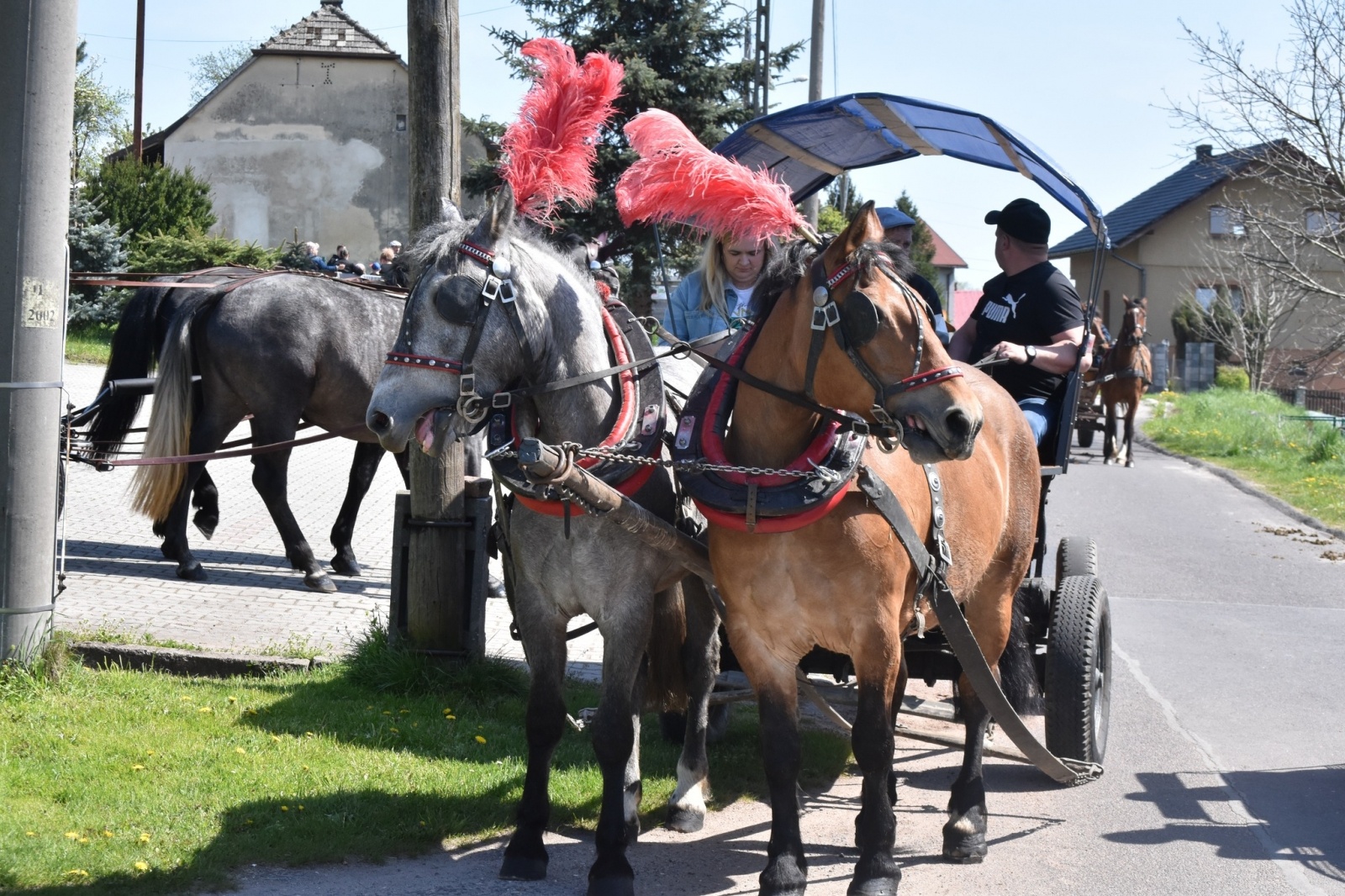 Zdjęcie w galerii na portalu naszwodzislaw.com: Sezon jeździecki w Godowie rozpoczęty [FOTO] wiadomości z regionu