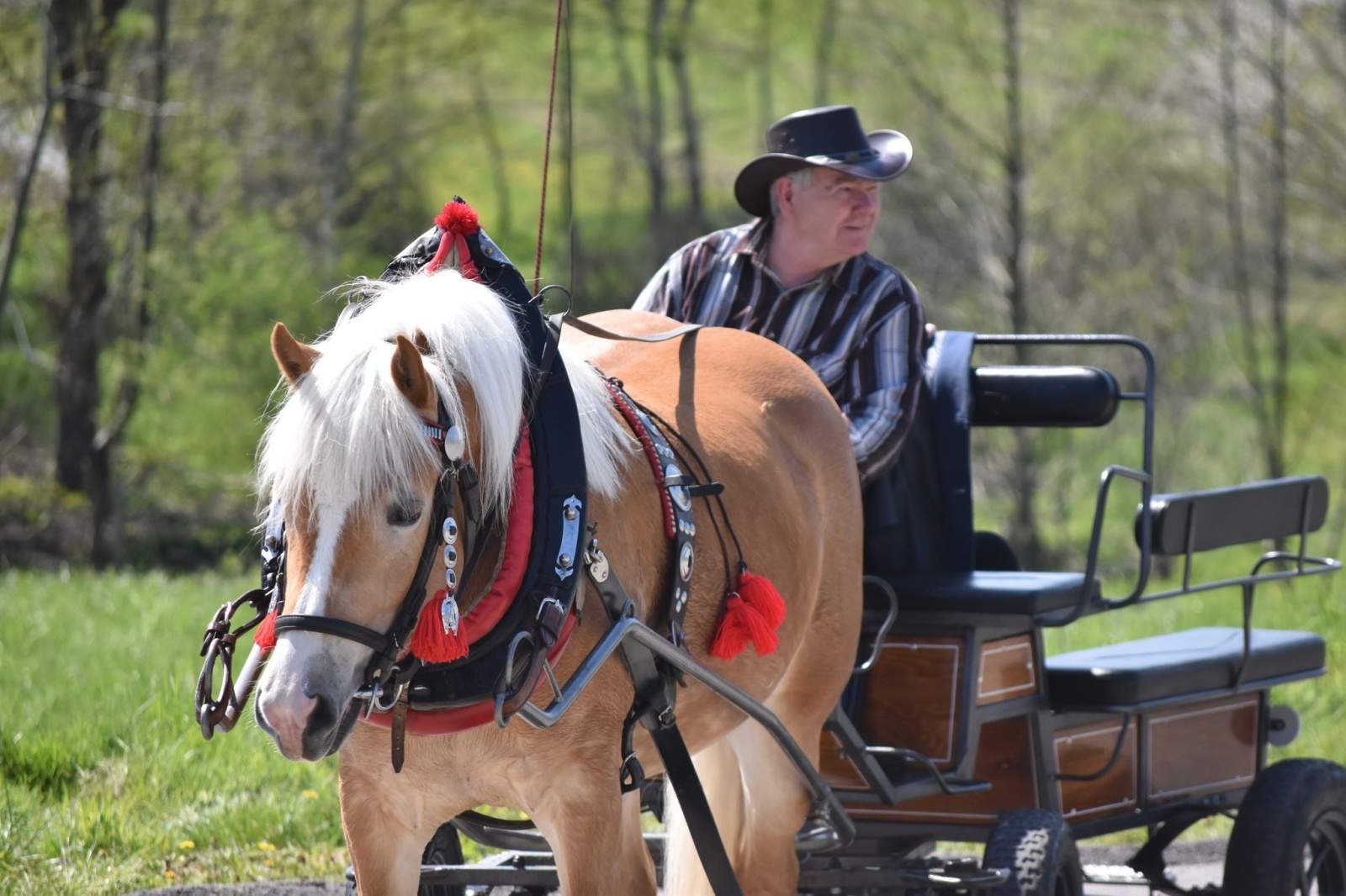 Zdjęcie w galerii na portalu naszwodzislaw.com: Sezon jeździecki w Godowie rozpoczęty [FOTO] wiadomości z regionu