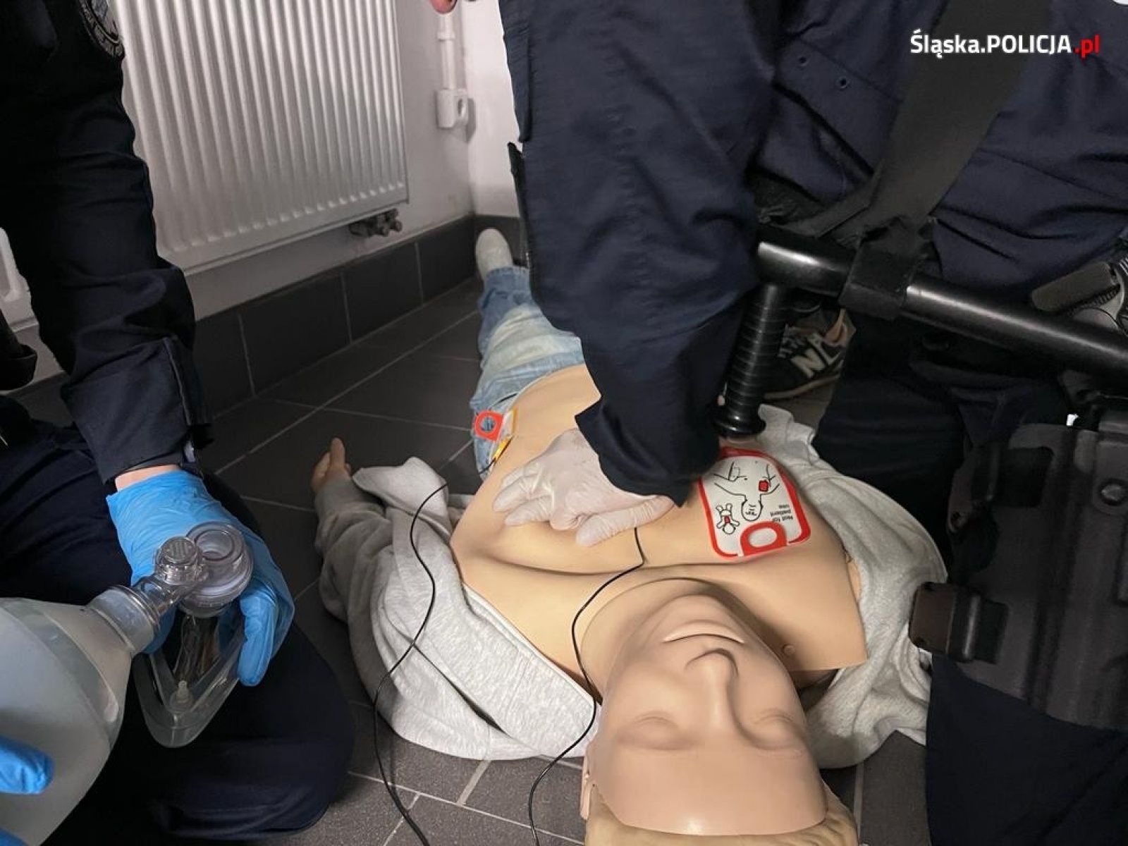 Zdjęcie w galerii na portalu naszwodzislaw.com: Policjanci z Wodzisławia Śląskiego na medal wiadomości z regionu