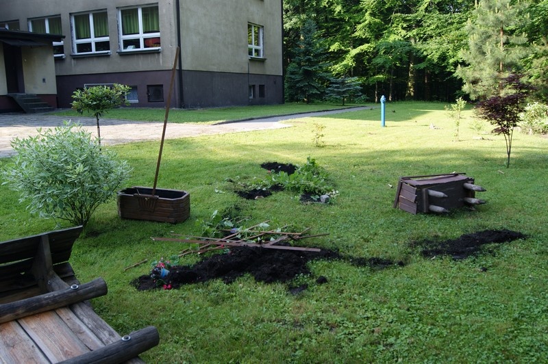 Zdjęcie w galerii na portalu naszwodzislaw.com: Leśny ogródek zdewastowany wiadomości z regionu