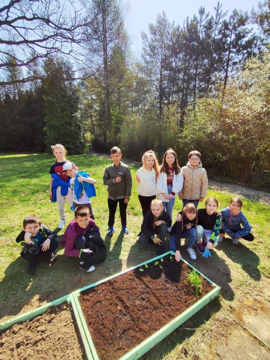 Zdjęcie w galerii na portalu naszwodzislaw.com: Wodzisław Śl.: Przy SP28 powstał ogródek warzywny wiadomości z regionu
