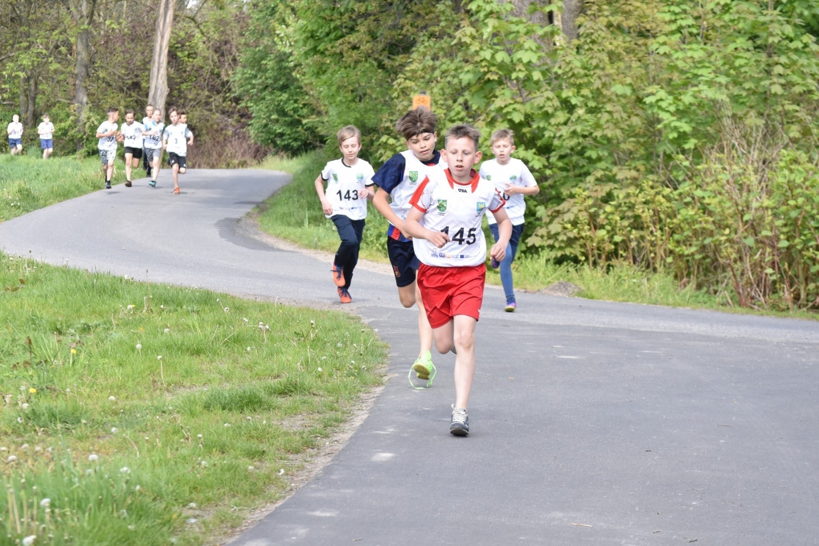 Zdjęcie w galerii na portalu naszwodzislaw.com: Bieg między pomnikami 2023. Zdrowa rywalizacja przyciągnęła ponad setkę uczniów [FOTO] wiadomości z regionu