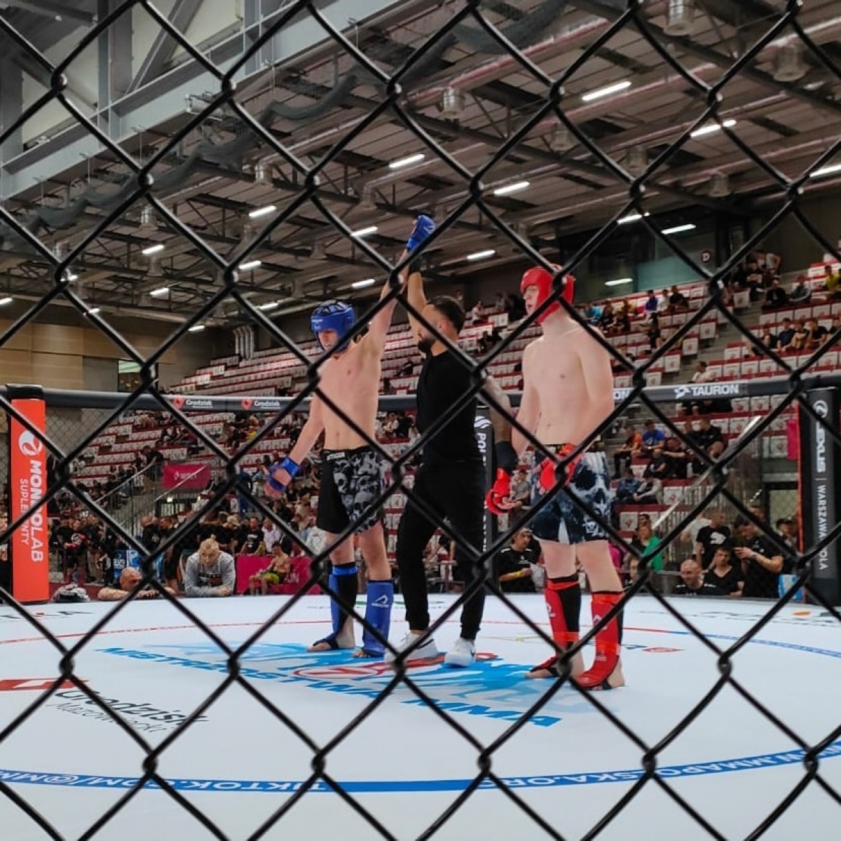 Zdjęcie w galerii na portalu naszwodzislaw.com: Worek medali Octagon Team na mistrzostwach Polski MMA wiadomości z regionu