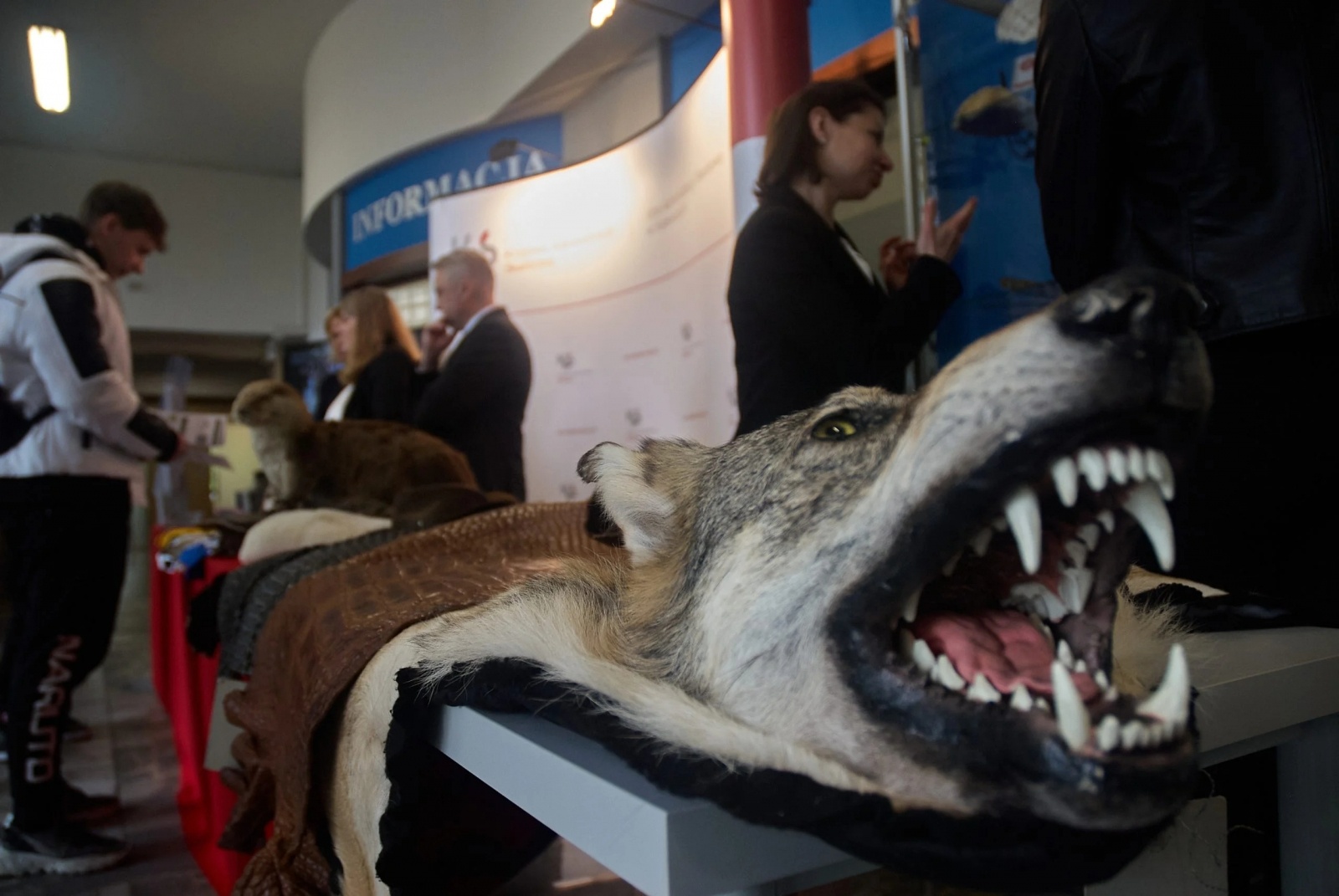 Zdjęcie w galerii na portalu naszwodzislaw.com: Spotkanie z Krajową Administracją Skarbową wiadomości z regionu