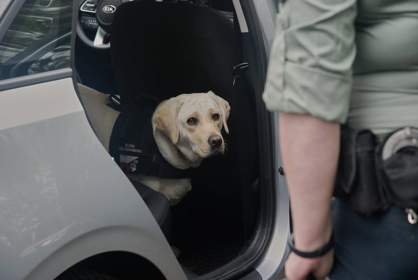 Zdjęcie w galerii na portalu naszwodzislaw.com: Spotkanie z Krajową Administracją Skarbową wiadomości z regionu