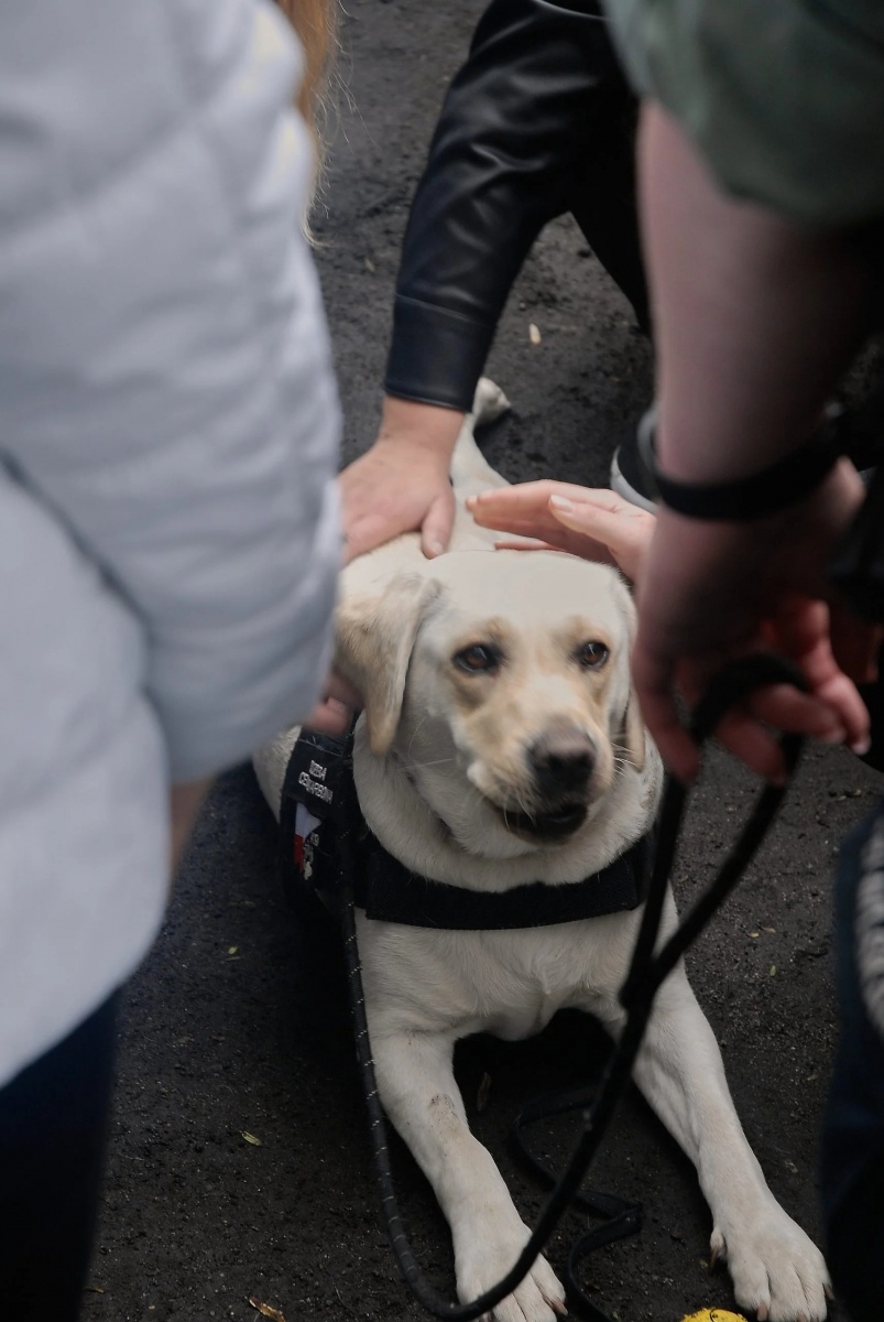 Zdjęcie w galerii na portalu naszwodzislaw.com: Spotkanie z Krajową Administracją Skarbową wiadomości z regionu