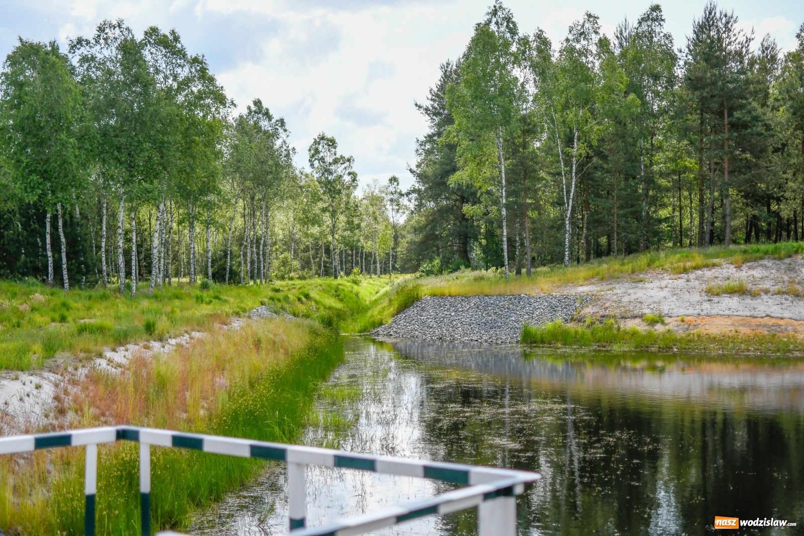 Zdjęcie w galerii na portalu naszwodzislaw.com: Lasy raciborskie z małą retencją. Dla bezpieczeństwa i przyrody [FOTO i WIDEO] wiadomości z regionu