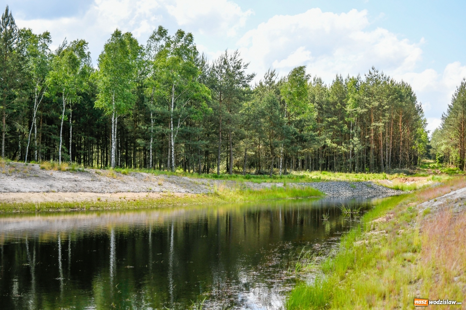Zdjęcie w galerii na portalu naszwodzislaw.com: Lasy raciborskie z małą retencją. Dla bezpieczeństwa i przyrody [FOTO i WIDEO] wiadomości z regionu