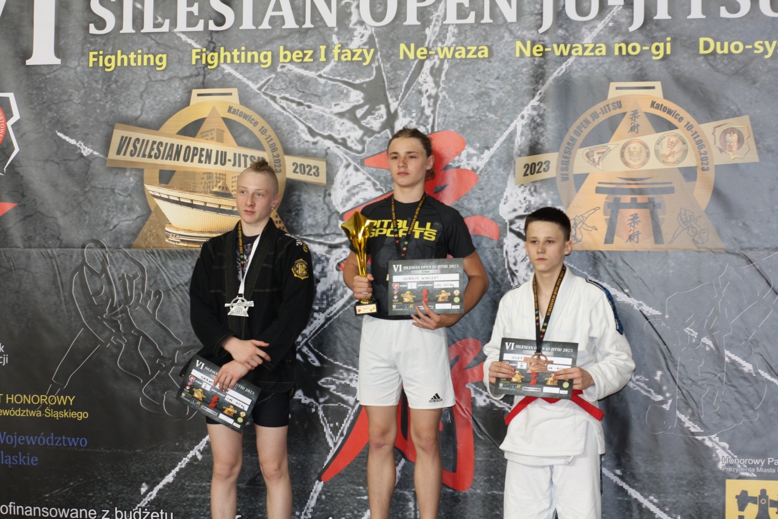Zdjęcie w galerii na portalu naszwodzislaw.com: VI Silesian Open Ju-Jitsu. Dziesięć medali Octagon Team Junior wiadomości z regionu