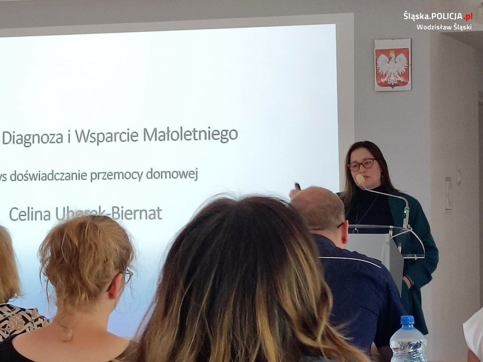 Zdjęcie w galerii na portalu naszwodzislaw.com: Przeciwdziałanie przemocy domowej. Konferencja w PODN wiadomości z regionu