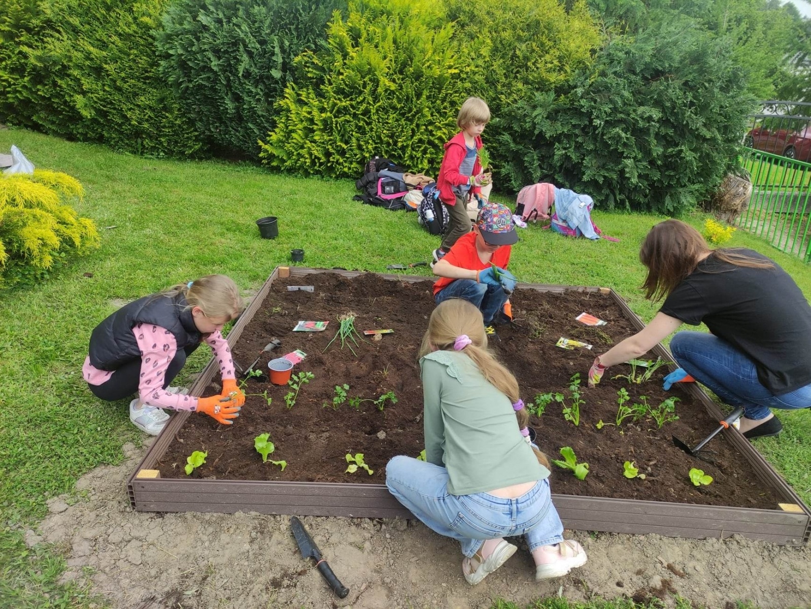 Zdjęcie w galerii na portalu naszwodzislaw.com: Zielone pomysły w Gminie Mszana wiadomości z regionu