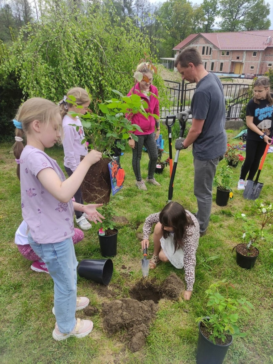 Zdjęcie w galerii na portalu naszwodzislaw.com: Zielone pomysły w Gminie Mszana wiadomości z regionu