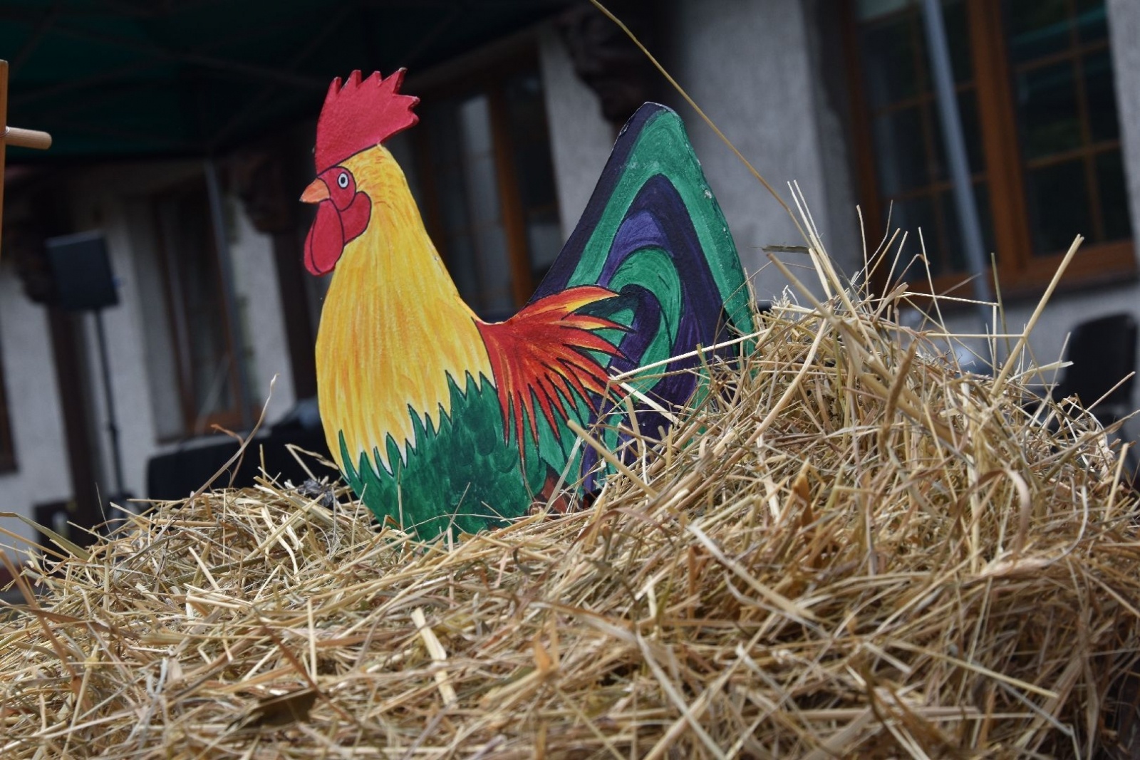 Zdjęcie w galerii na portalu naszwodzislaw.com: W sielskiej scenerii powitali lato [FOTO] wiadomości z regionu