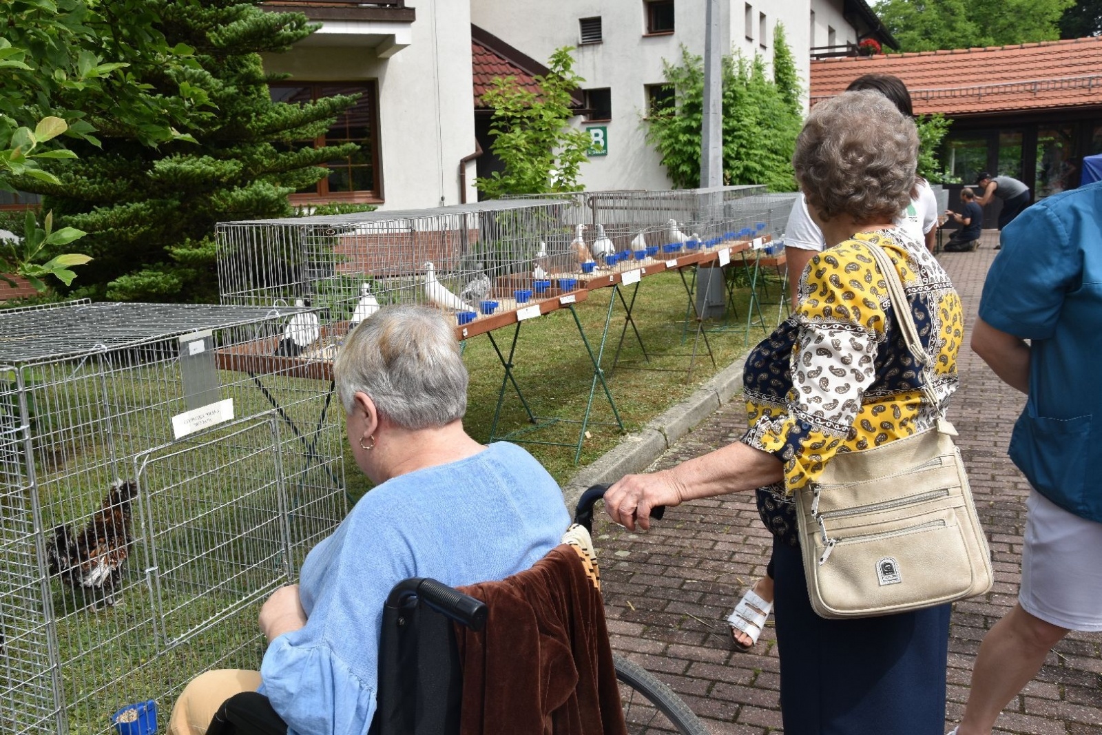 Zdjęcie w galerii na portalu naszwodzislaw.com: W sielskiej scenerii powitali lato [FOTO] wiadomości z regionu