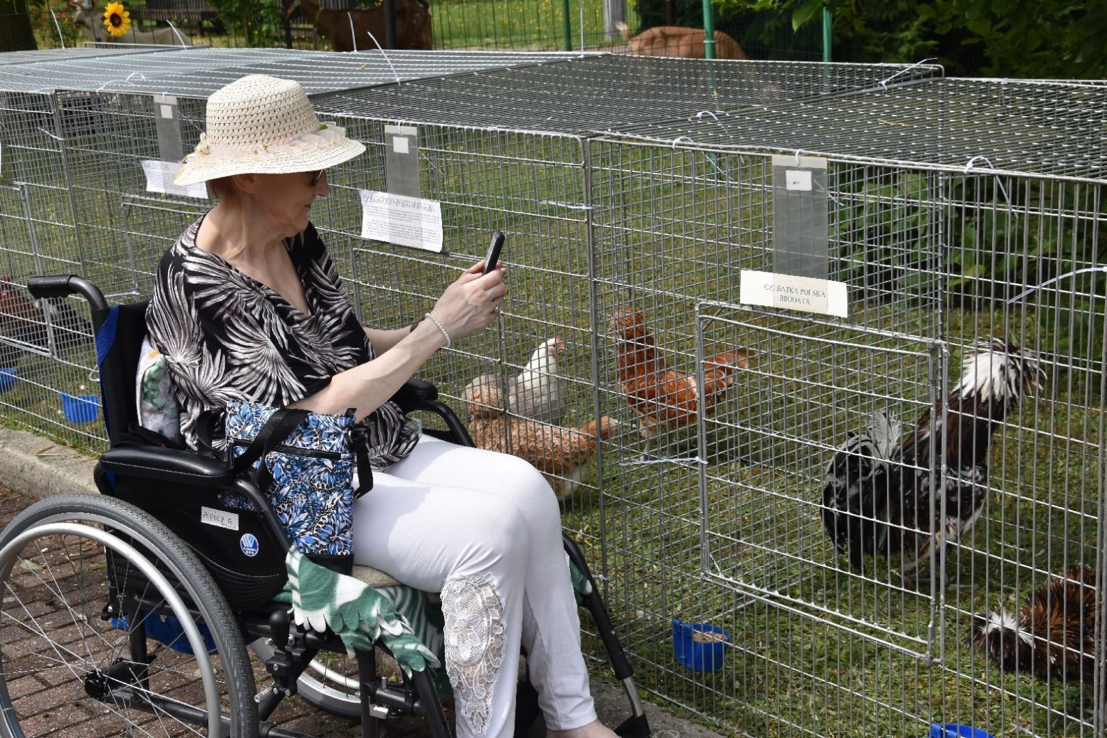 Zdjęcie w galerii na portalu naszwodzislaw.com: W sielskiej scenerii powitali lato [FOTO] wiadomości z regionu