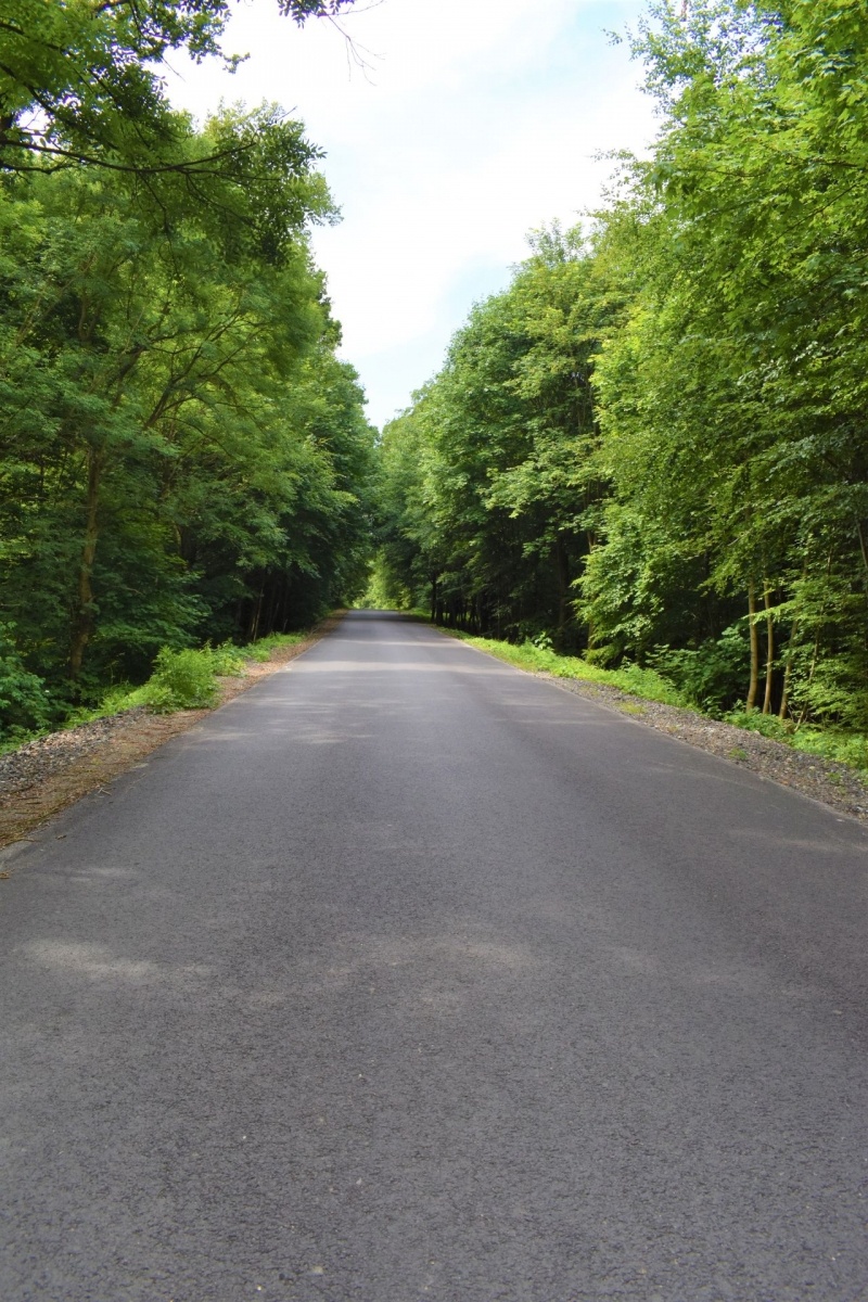Zdjęcie w galerii na portalu naszwodzislaw.com: Trwają remonty na powiatowych drogach [FOTO] wiadomości z regionu