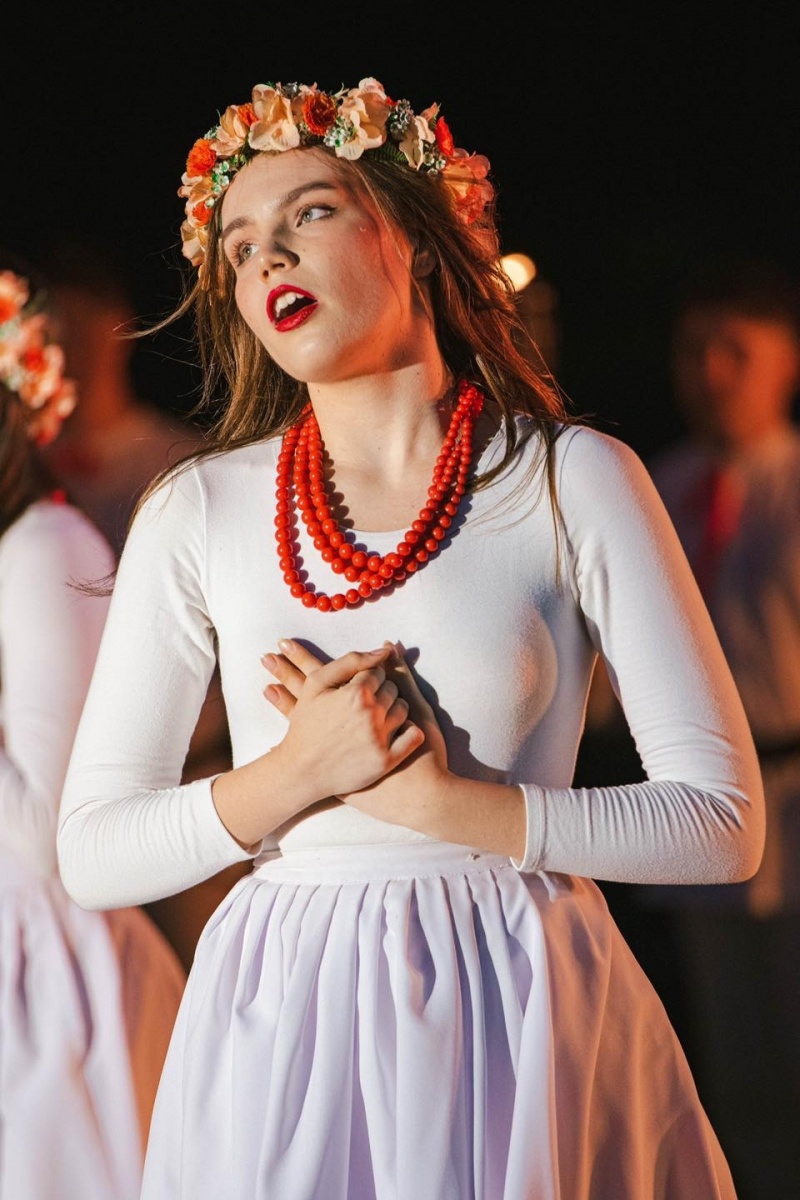 Zdjęcie w galerii na portalu naszwodzislaw.com: Wodzisławska Noc Świętojańska zachwyciła po raz szósty [FOTO] wiadomości z regionu