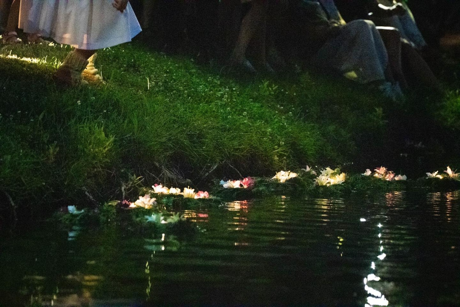 Zdjęcie w galerii na portalu naszwodzislaw.com: Wodzisławska Noc Świętojańska zachwyciła po raz szósty [FOTO] wiadomości z regionu