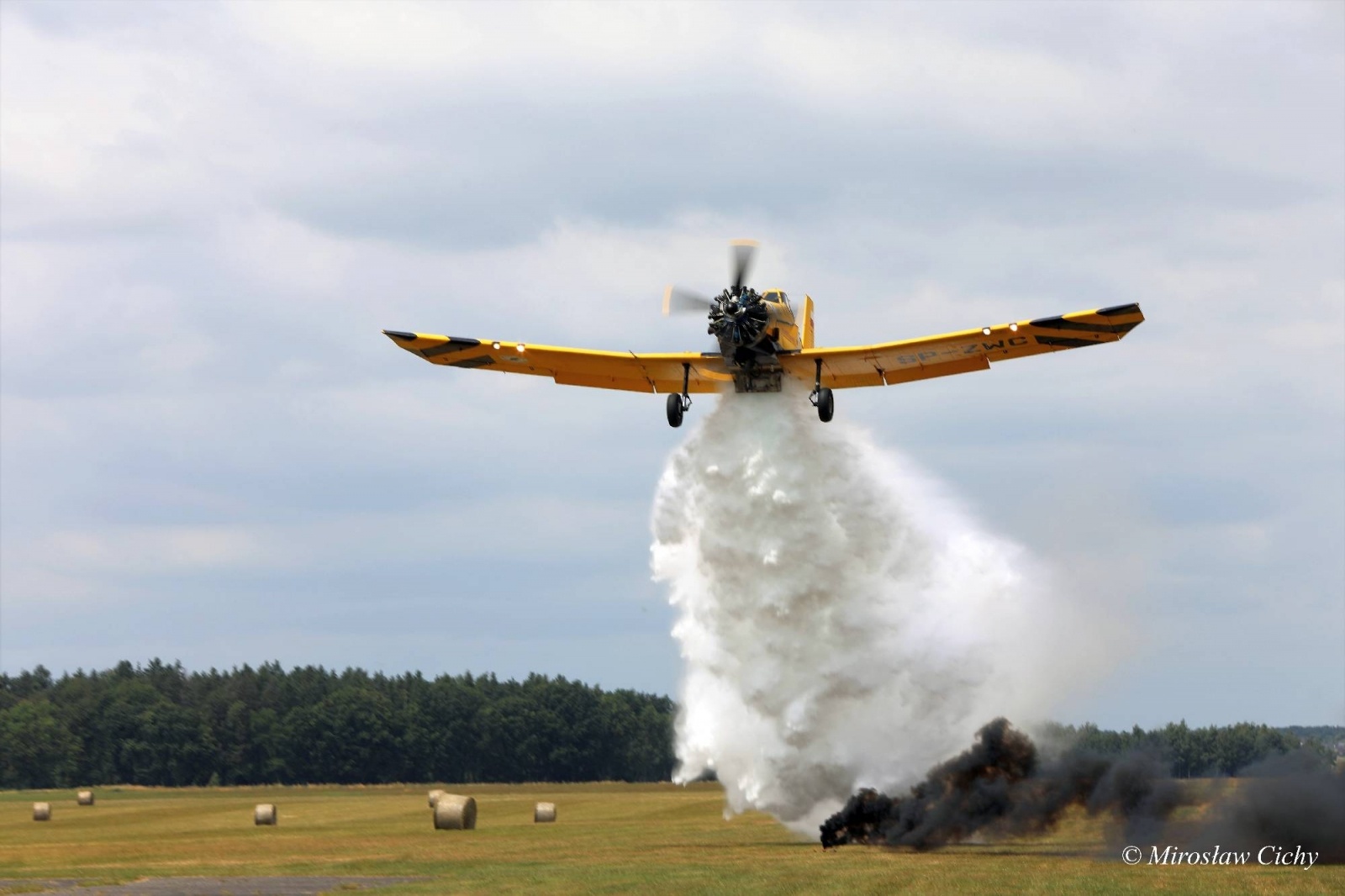 Zdjęcie w galerii na portalu naszwodzislaw.com: Fundusze dofinansują ochronę lasów wiadomości z regionu