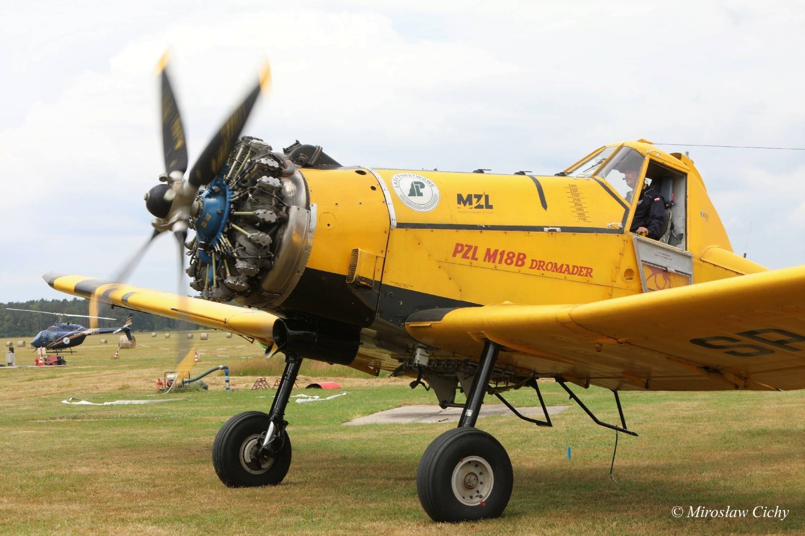 Zdjęcie w galerii na portalu naszwodzislaw.com: Fundusze dofinansują ochronę lasów wiadomości z regionu