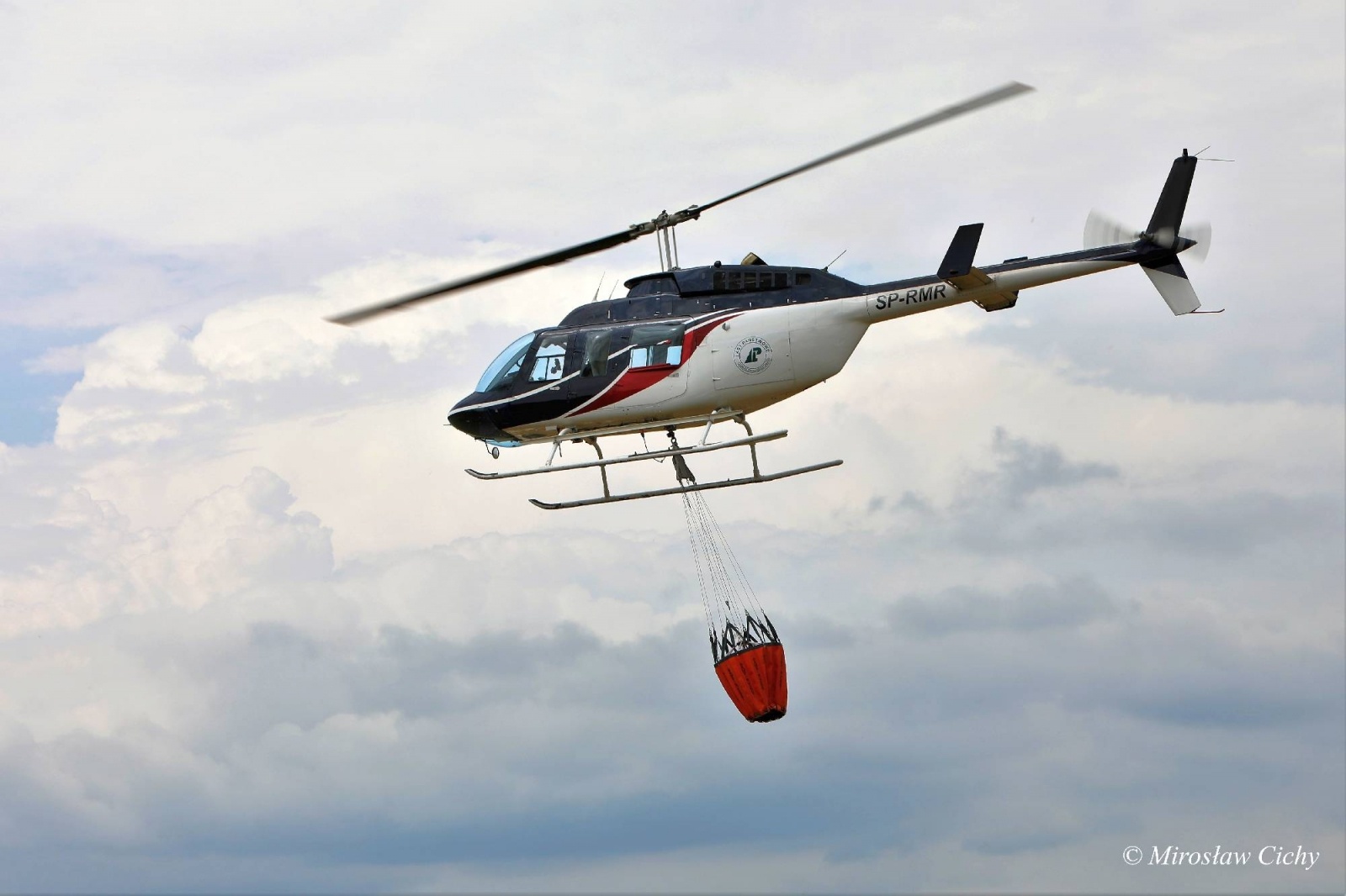 Zdjęcie w galerii na portalu naszwodzislaw.com: Fundusze dofinansują ochronę lasów wiadomości z regionu