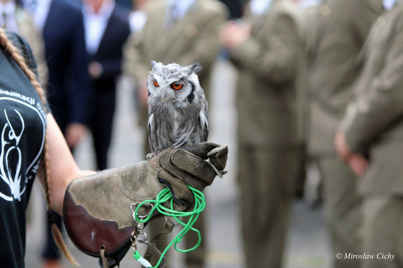 Zdjęcie w galerii na portalu naszwodzislaw.com: Fundusze dofinansują ochronę lasów wiadomości z regionu