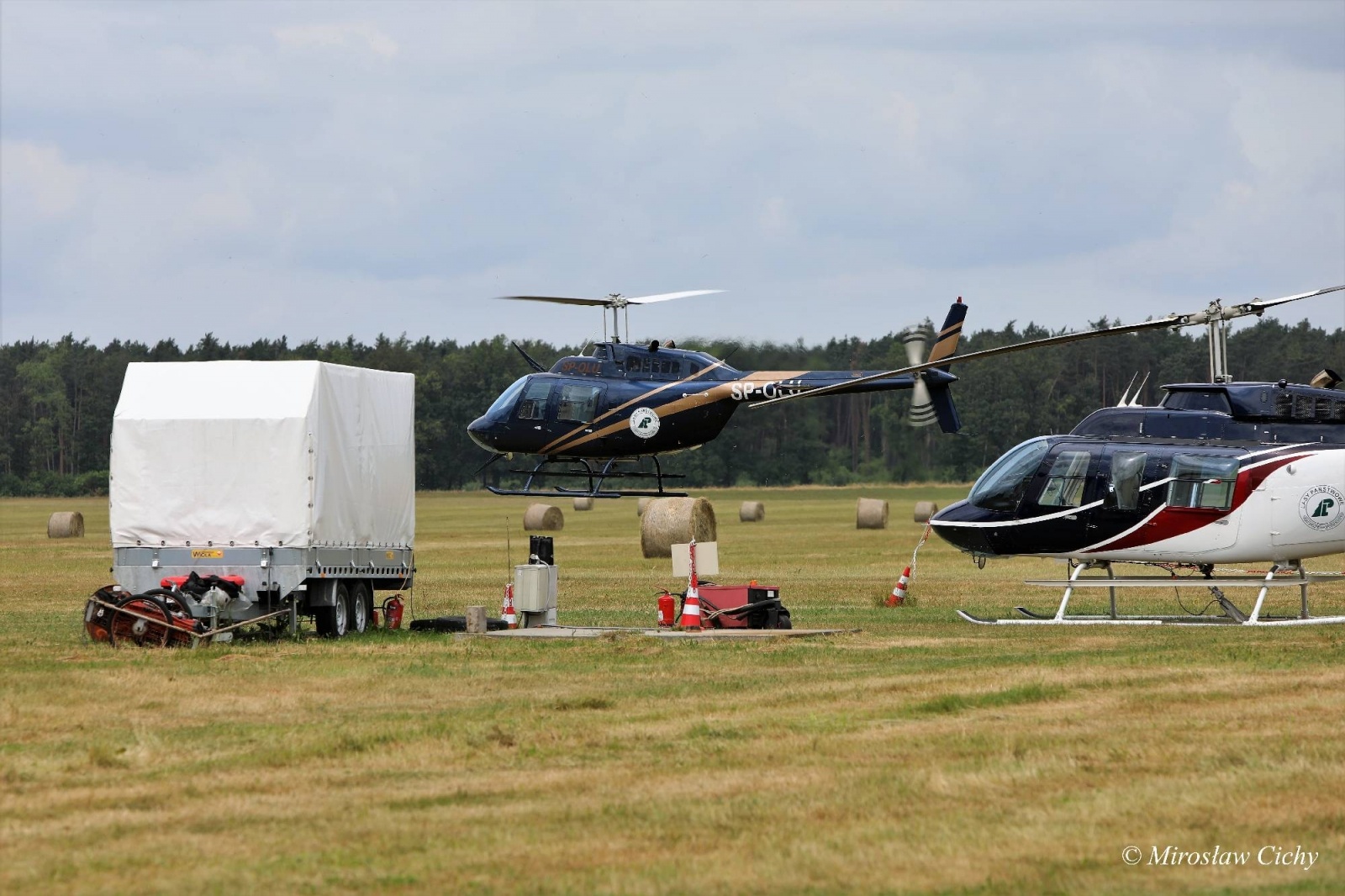 Zdjęcie w galerii na portalu naszwodzislaw.com: Fundusze dofinansują ochronę lasów wiadomości z regionu
