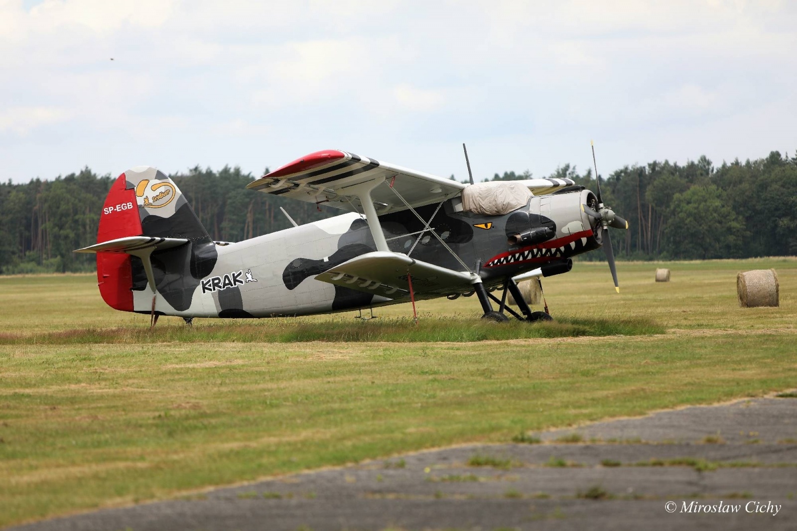 Zdjęcie w galerii na portalu naszwodzislaw.com: Fundusze dofinansują ochronę lasów wiadomości z regionu