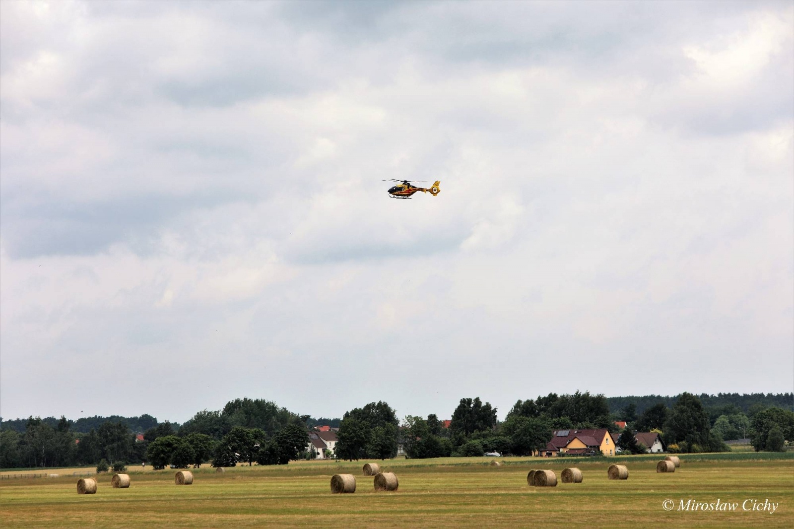 Zdjęcie w galerii na portalu naszwodzislaw.com: Fundusze dofinansują ochronę lasów wiadomości z regionu