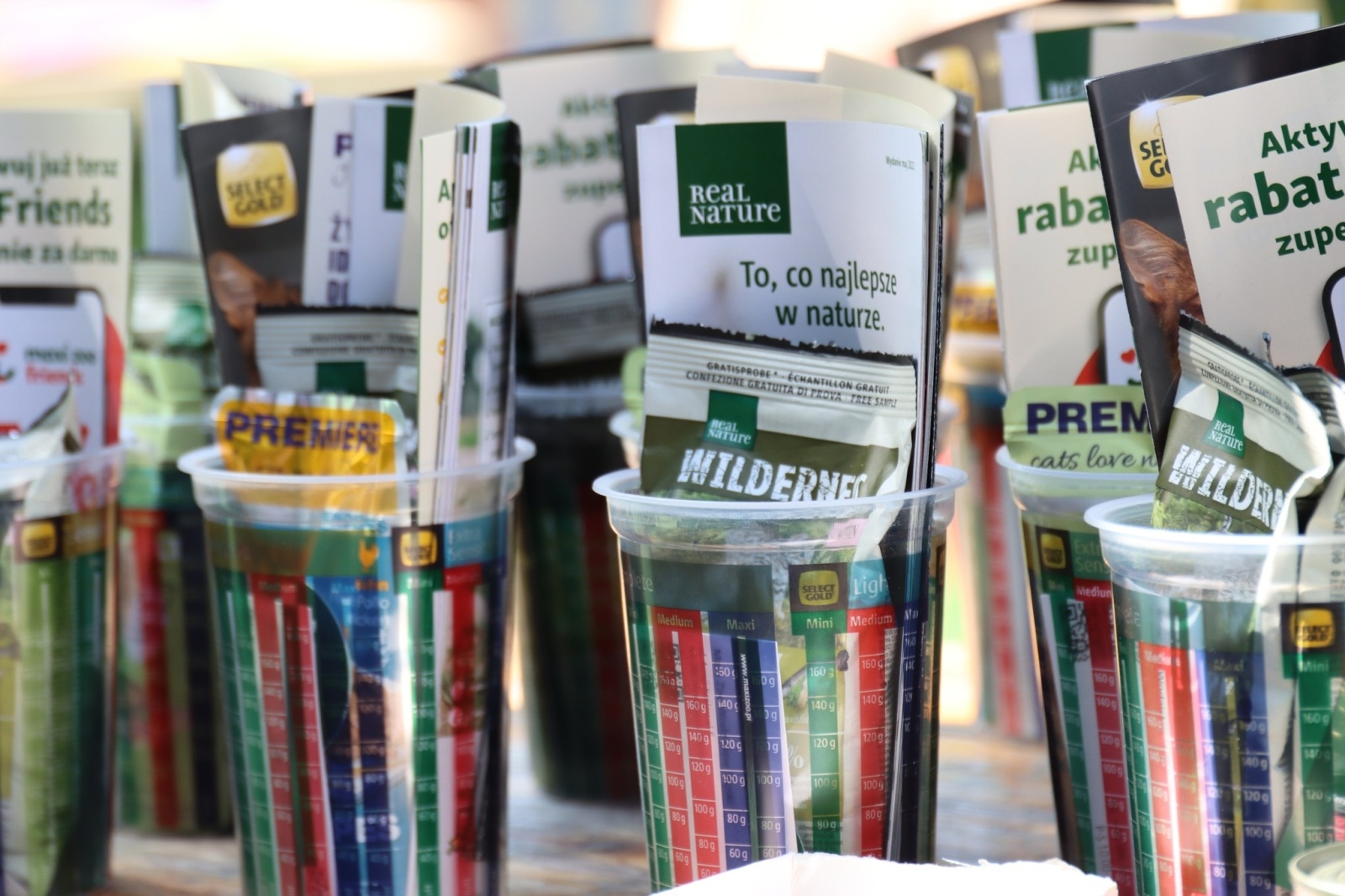 Zdjęcie w galerii na portalu naszwodzislaw.com: Dzień Psa w Wodzisławiu Śląskim wiadomości z regionu