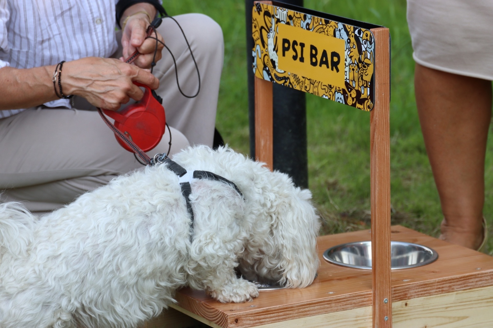 Zdjęcie w galerii na portalu naszwodzislaw.com: Dzień Psa w Wodzisławiu Śląskim wiadomości z regionu