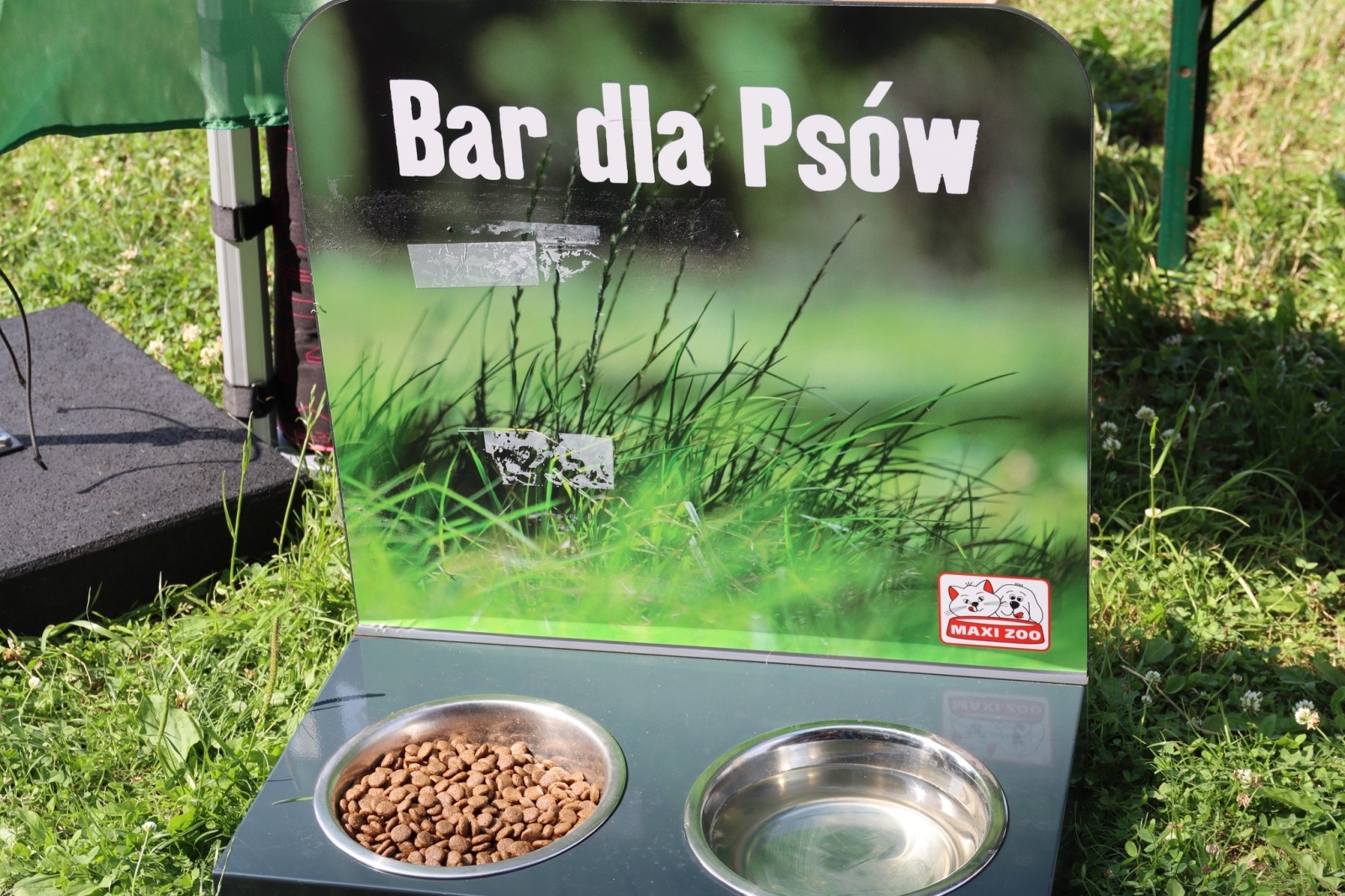 Zdjęcie w galerii na portalu naszwodzislaw.com: Dzień Psa w Wodzisławiu Śląskim wiadomości z regionu