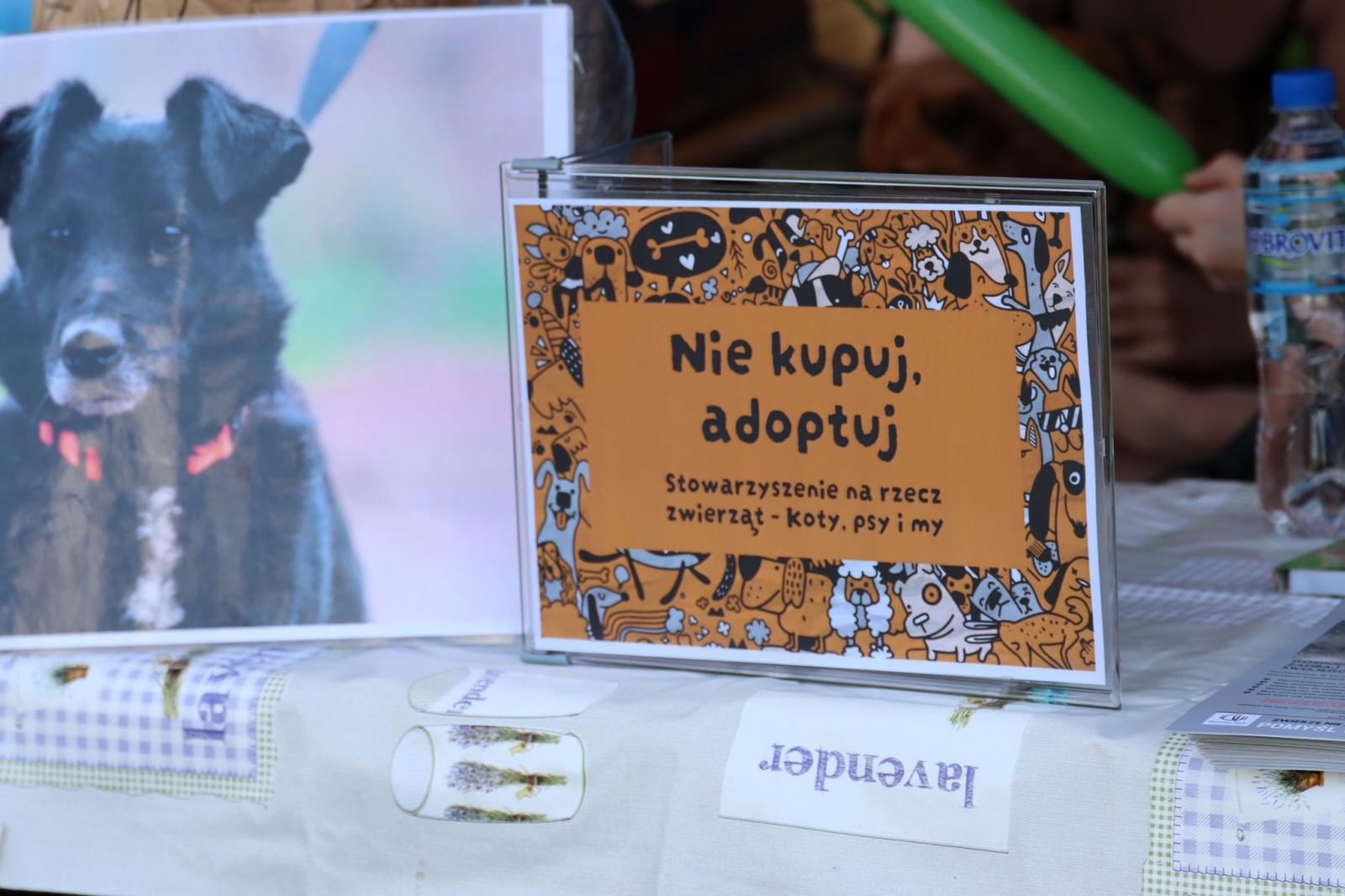 Zdjęcie w galerii na portalu naszwodzislaw.com: Dzień Psa w Wodzisławiu Śląskim wiadomości z regionu