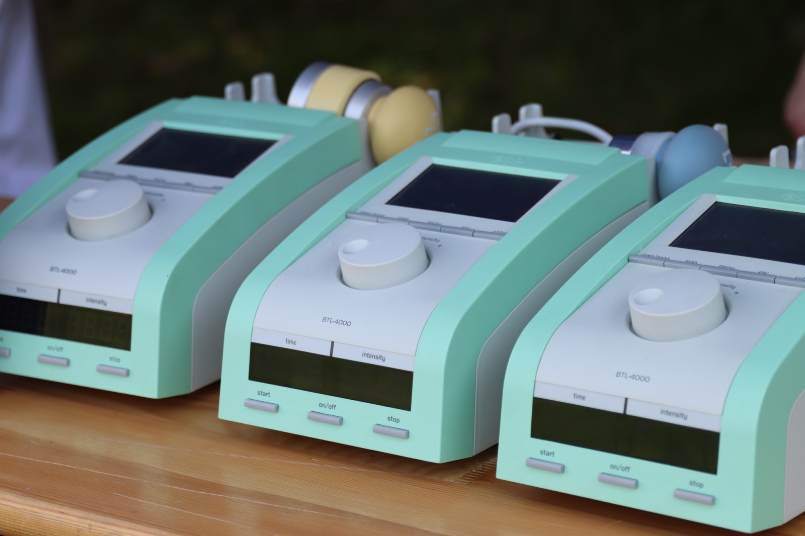 Zdjęcie w galerii na portalu naszwodzislaw.com: Dzień Psa w Wodzisławiu Śląskim wiadomości z regionu