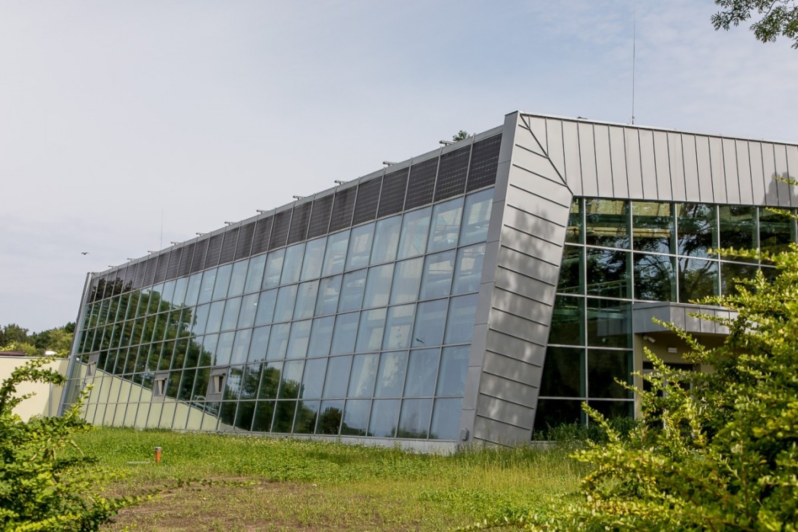 Zdjęcie w galerii na portalu naszwodzislaw.com: Powiew egzotyki w Śląskim Ogrodzie Zoologicznym wiadomości z regionu