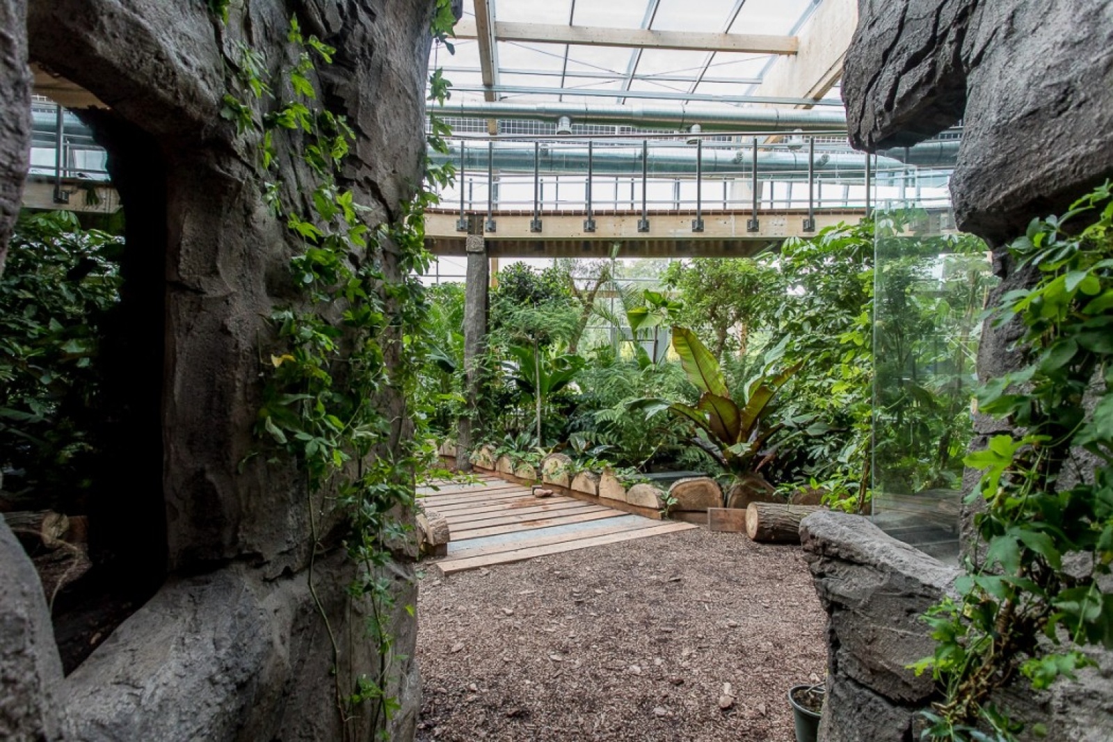 Zdjęcie w galerii na portalu naszwodzislaw.com: Powiew egzotyki w Śląskim Ogrodzie Zoologicznym wiadomości z regionu