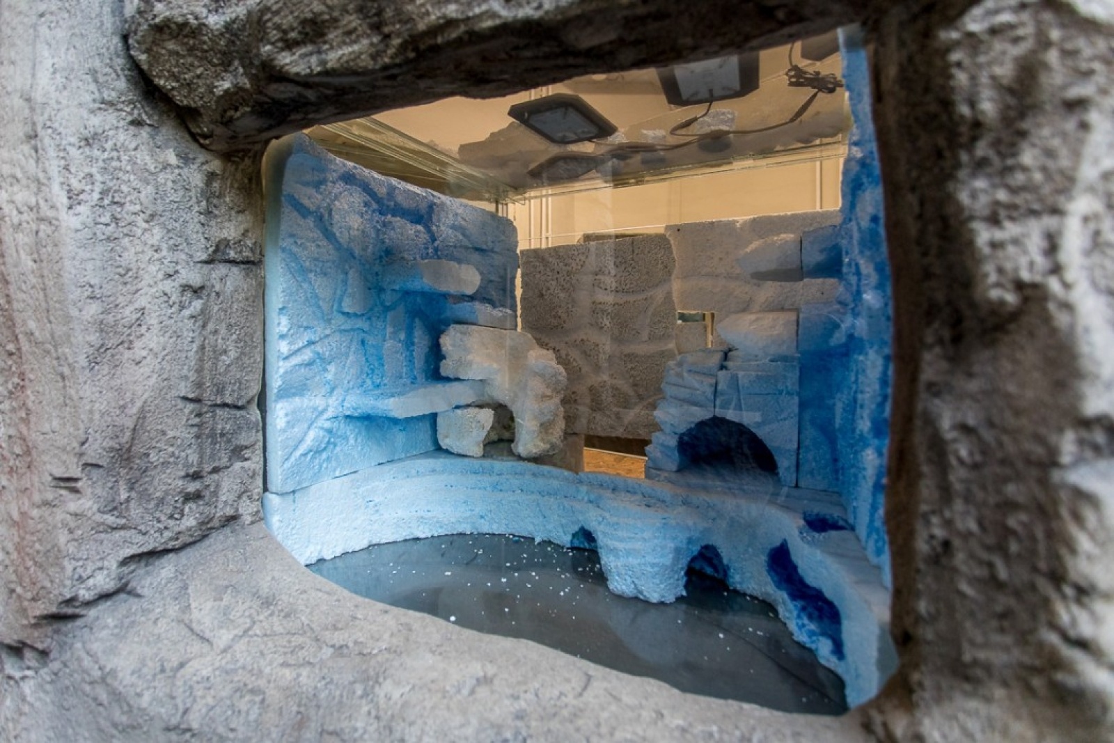 Zdjęcie w galerii na portalu naszwodzislaw.com: Powiew egzotyki w Śląskim Ogrodzie Zoologicznym wiadomości z regionu