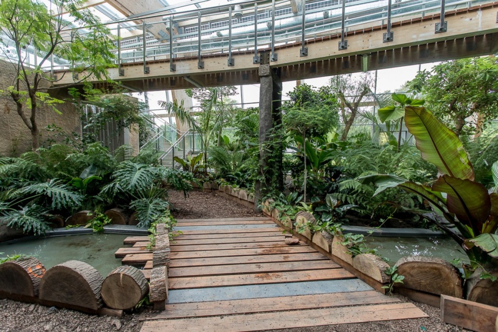 Zdjęcie w galerii na portalu naszwodzislaw.com: Powiew egzotyki w Śląskim Ogrodzie Zoologicznym wiadomości z regionu