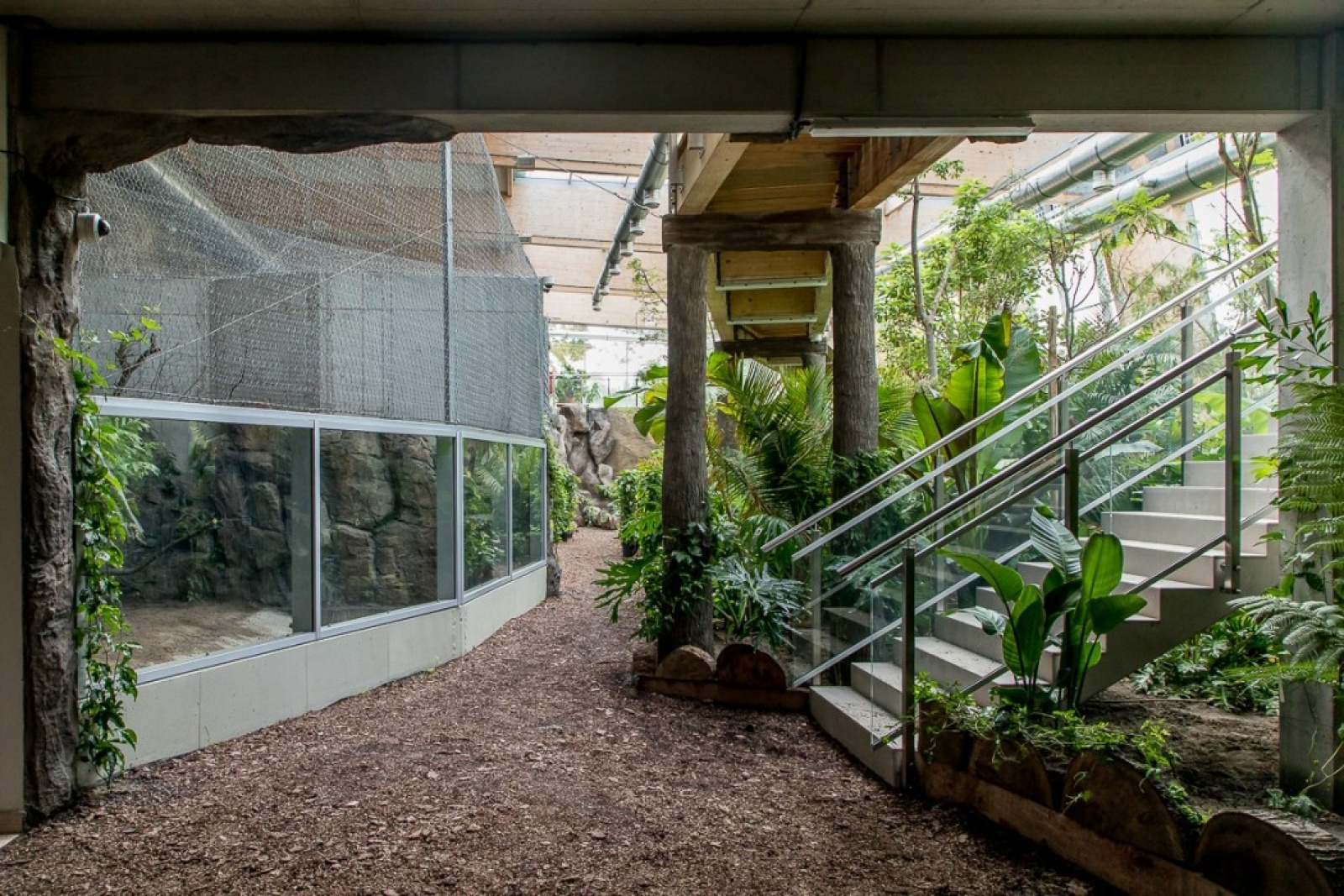 Zdjęcie w galerii na portalu naszwodzislaw.com: Powiew egzotyki w Śląskim Ogrodzie Zoologicznym wiadomości z regionu