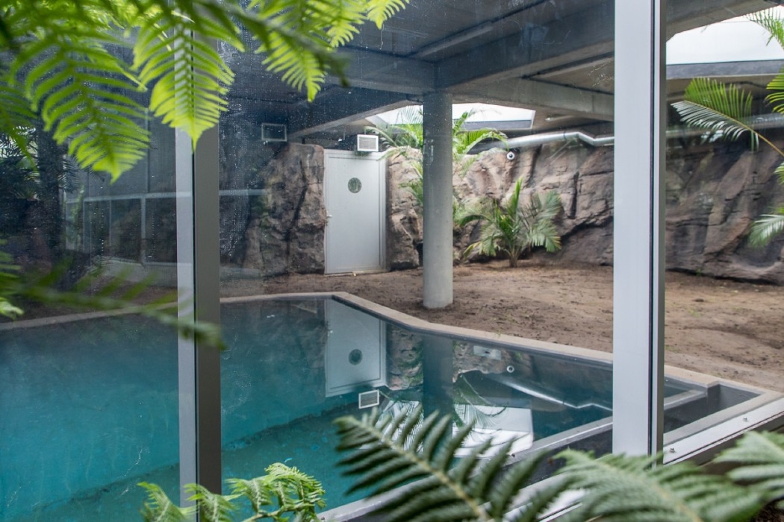 Zdjęcie w galerii na portalu naszwodzislaw.com: Powiew egzotyki w Śląskim Ogrodzie Zoologicznym wiadomości z regionu