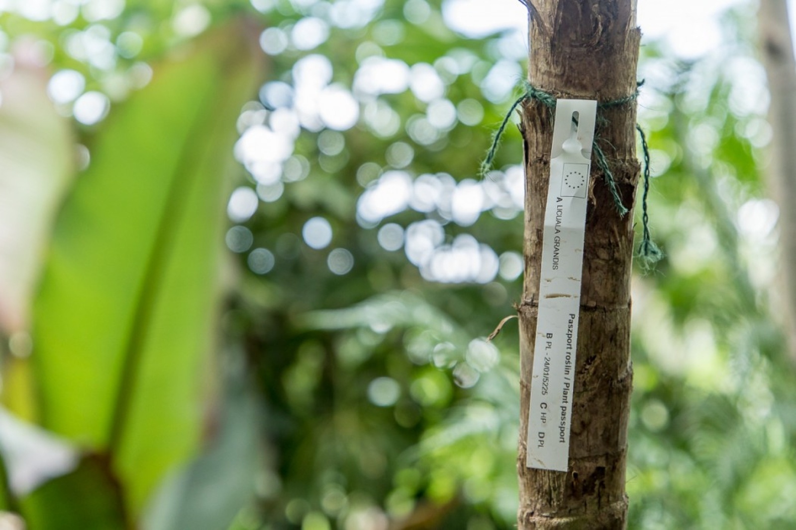 Zdjęcie w galerii na portalu naszwodzislaw.com: Powiew egzotyki w Śląskim Ogrodzie Zoologicznym wiadomości z regionu