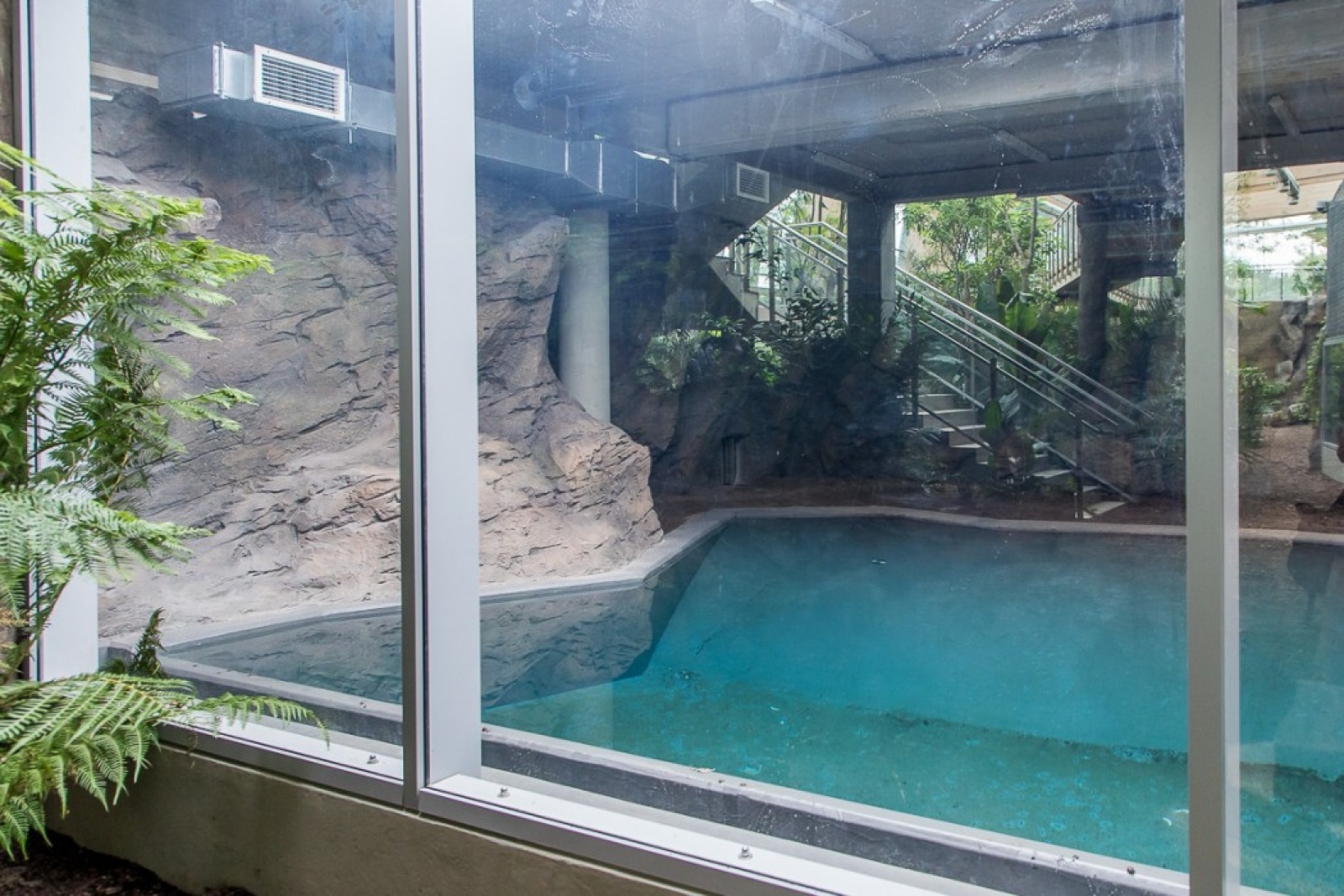 Zdjęcie w galerii na portalu naszwodzislaw.com: Powiew egzotyki w Śląskim Ogrodzie Zoologicznym wiadomości z regionu