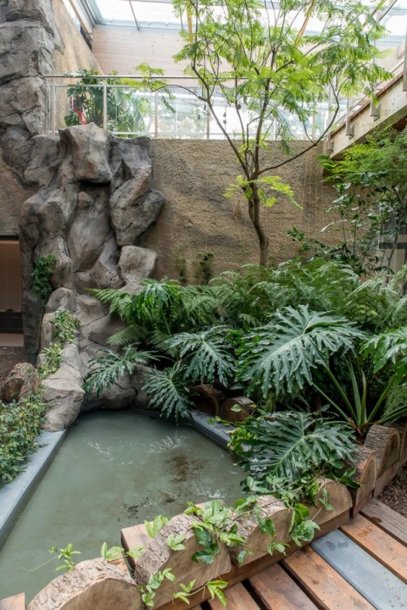 Zdjęcie w galerii na portalu naszwodzislaw.com: Powiew egzotyki w Śląskim Ogrodzie Zoologicznym wiadomości z regionu