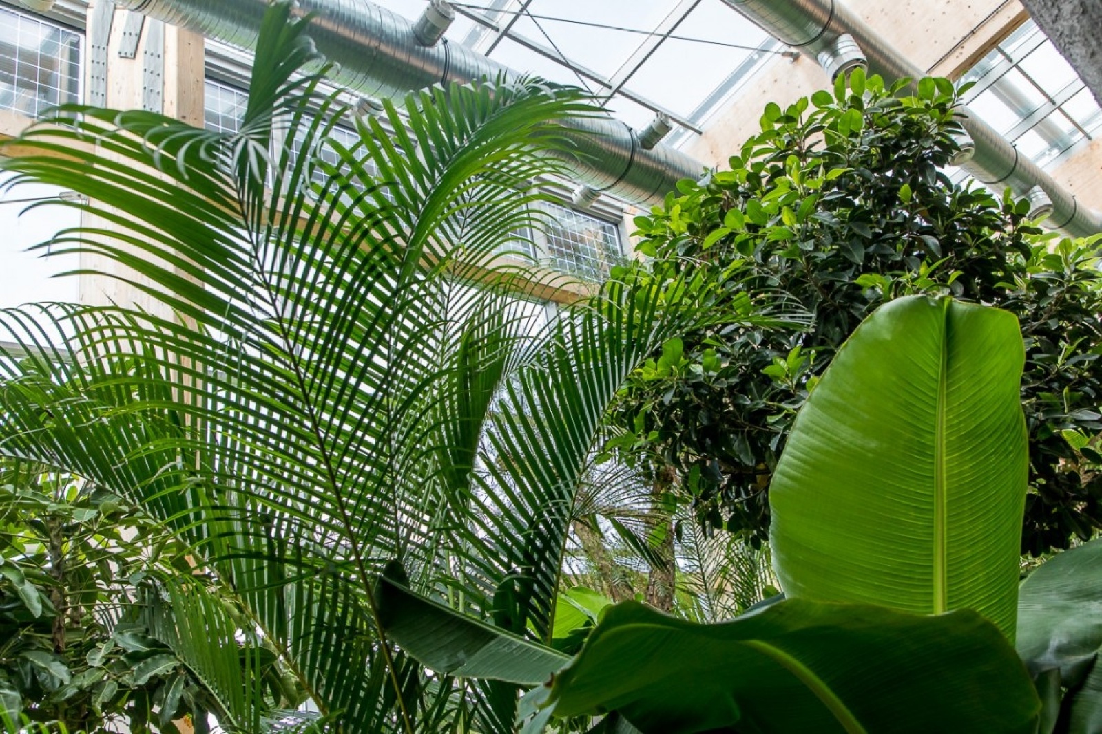 Zdjęcie w galerii na portalu naszwodzislaw.com: Powiew egzotyki w Śląskim Ogrodzie Zoologicznym wiadomości z regionu