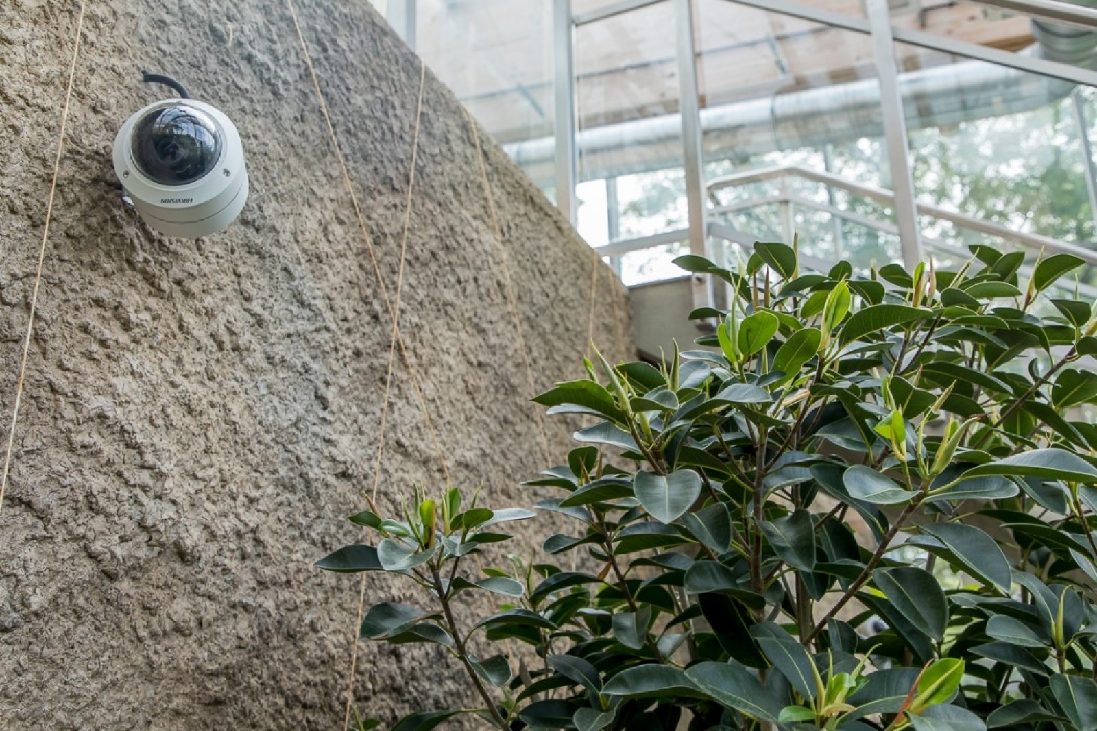 Zdjęcie w galerii na portalu naszwodzislaw.com: Powiew egzotyki w Śląskim Ogrodzie Zoologicznym wiadomości z regionu