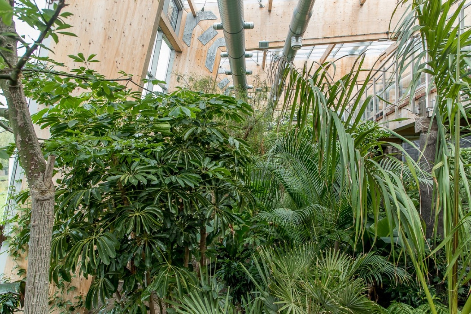 Zdjęcie w galerii na portalu naszwodzislaw.com: Powiew egzotyki w Śląskim Ogrodzie Zoologicznym wiadomości z regionu