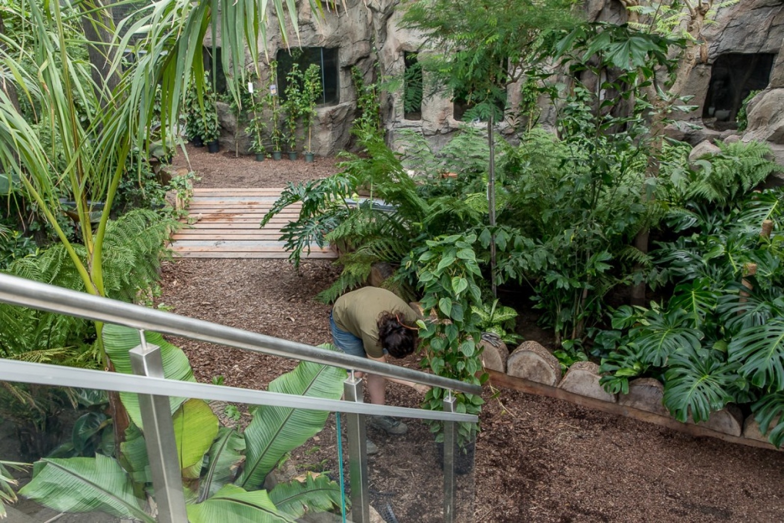 Zdjęcie w galerii na portalu naszwodzislaw.com: Powiew egzotyki w Śląskim Ogrodzie Zoologicznym wiadomości z regionu